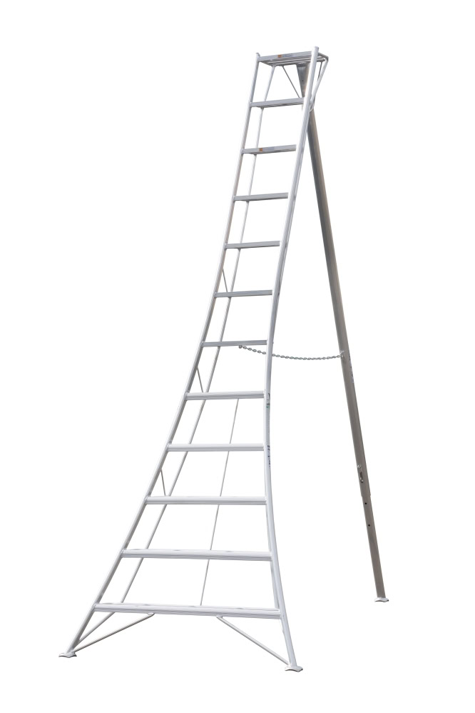 Ladders